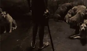 Mueren en M&eacute;xico cerca de 60 mil animales al a&ntilde;o por maltrato: Inegi