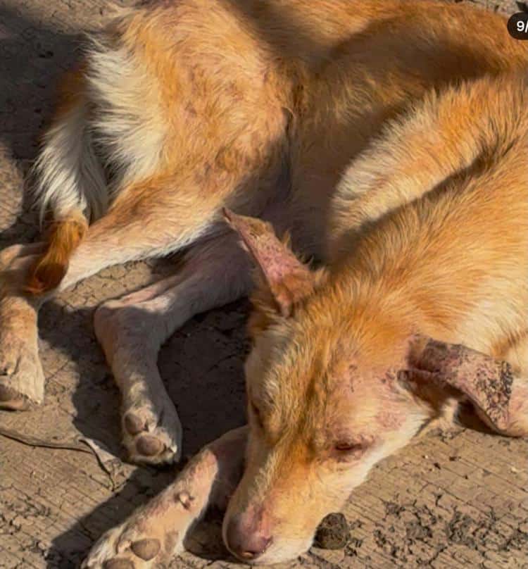 imagen-cuerpo imagen-cuerpo