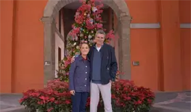Sheinbaum desea feliz Navidad a las familias mexicanas