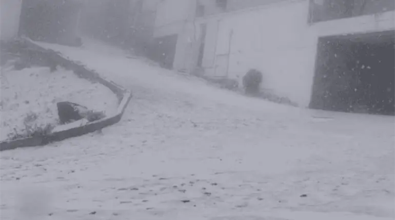 Cae la primera nevada de la temporada en Cofre de Perote, Veracruz