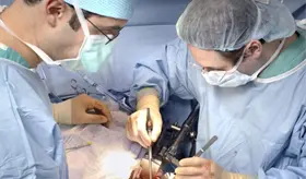 Falso que donar un &oacute;rgano en vida tenga repercusiones a la salud: Especialista