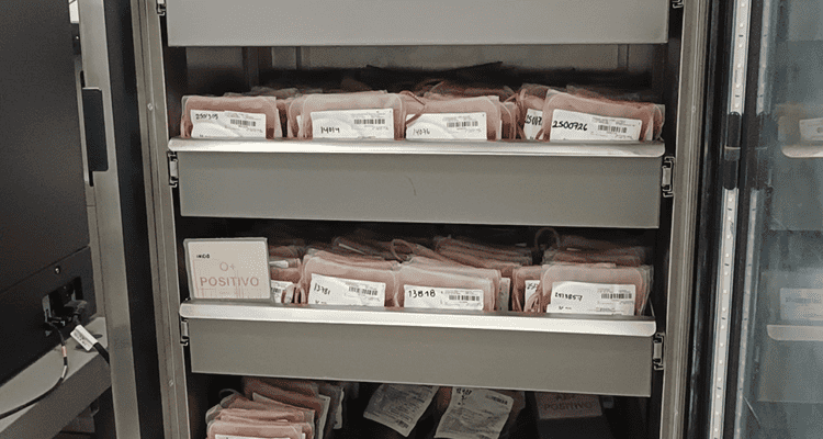 imagen-cuerpo imagen-cuerpo