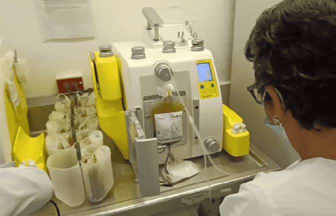 imagen-cuerpo imagen-cuerpo