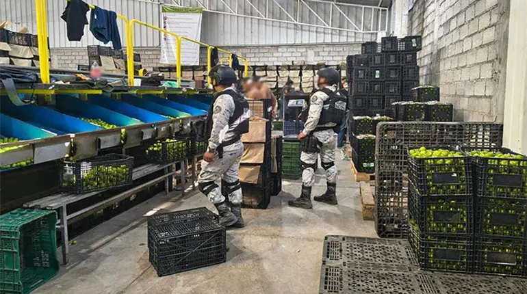 Van m&aacute;s de 10 mil detenidos por la Operaci&oacute;n Frontera Norte