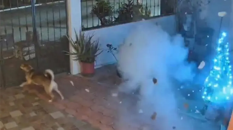 Vecinos del fraccionamiento San Manuel en Parrilla II denuncian vandalismo a viviendas con petardos