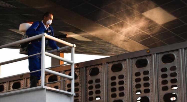 imagen-cuerpo imagen-cuerpo