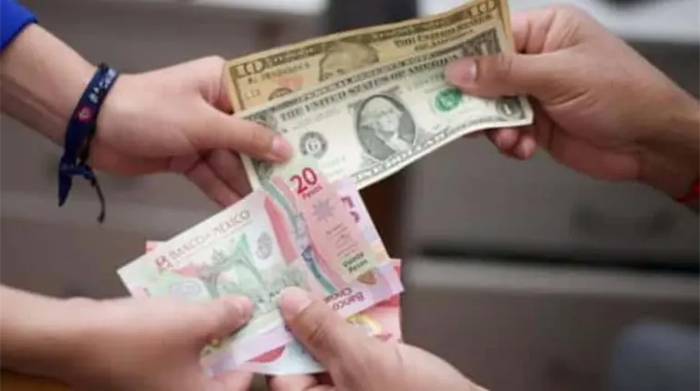 Remesas recibidas en M&eacute;xico caen m&aacute;s del 5% entre enero y noviembre de 2025: Banxico