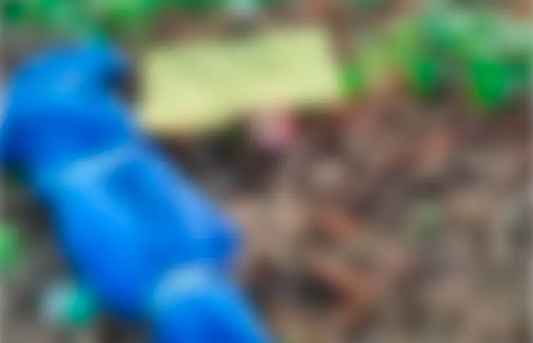 Hallan persona decapitada y con mensajes amenazantes en ranchería de Teapa