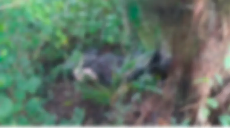 Localizan cuerpo de mujer con huellas de tortura y "embolsado" en Jonuta