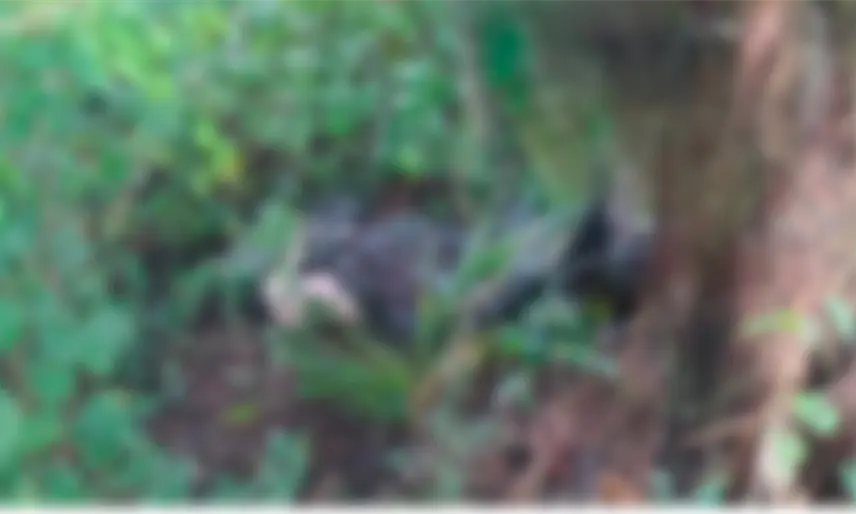 Localizan cuerpo de mujer con huellas de tortura y "embolsado" en Jonuta