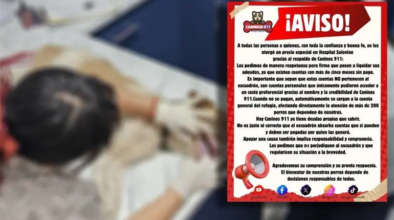 Pide Caninos 911 a personas que pasen a pagar sus cuentas con veterinaria