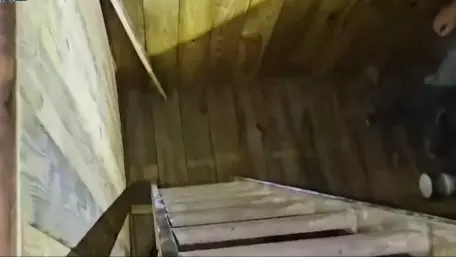 Desmantelan red vinculada al c&aacute;rtel de Sinaloa; traficaba metanfetamina oculta en piedras de m&aacute;rmol