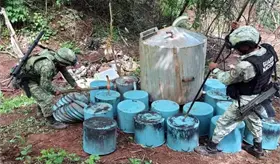 Aseguran en Sinaloa precursores qu&iacute;micos valuados en 54 mdp y armas