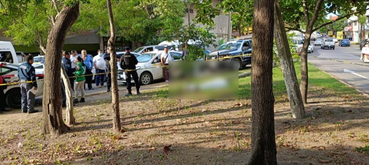 imagen-cuerpo imagen-cuerpo