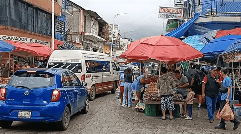 Reordenar&aacute; Centro ambulantes del "Pino Su&aacute;rez"