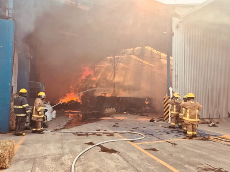 imagen-cuerpo imagen-cuerpo