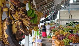 Se instalan los primeros ambulantes en mercado Tianguis Villahermosa