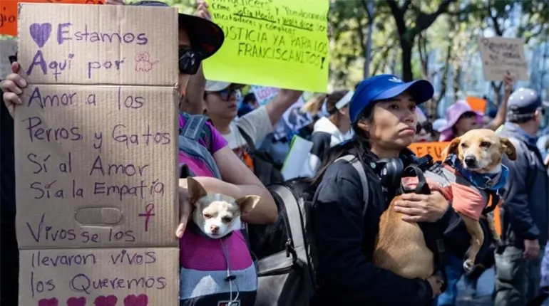 "Fue despojo, no fue rescate", acusan defensores de los animales sobre caso del Refugio Franciscano