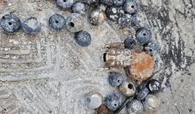 INAH condena el lucro de patrimonio arqueol&oacute;gico en Oaxaca tras publicaci&oacute;n en redes