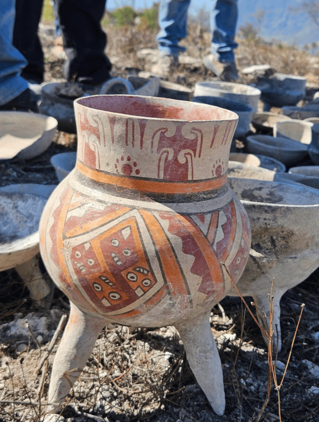 imagen-cuerpo imagen-cuerpo