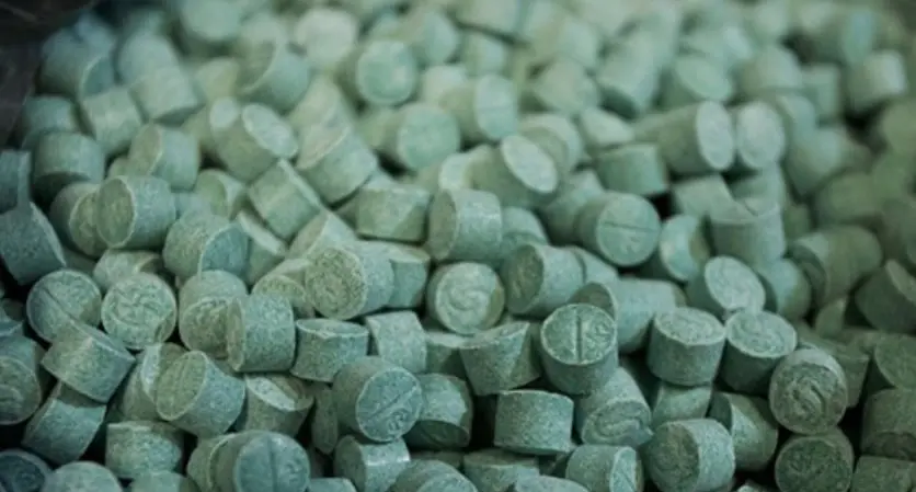 Operación Frontera Norte da golpe al crimen de 106 mdp en Sinaloa