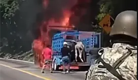 Se incendia camioneta cargada con ganado en Mapastepec, Chiapas