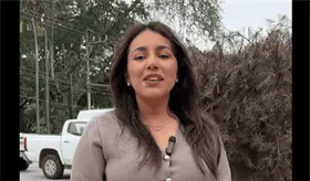 Crear&aacute;n padr&oacute;n de organizaciones y refugios de animales