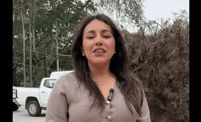 Crear&aacute;n padr&oacute;n de organizaciones y refugios de animales