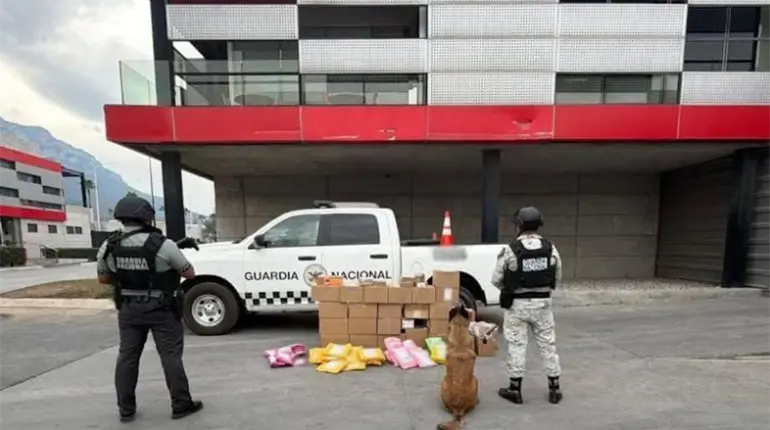 Frena GN en Nuevo Le&oacute;n env&iacute;o de drogas por paqueter&iacute;a a 22 estados del pa&iacute;s