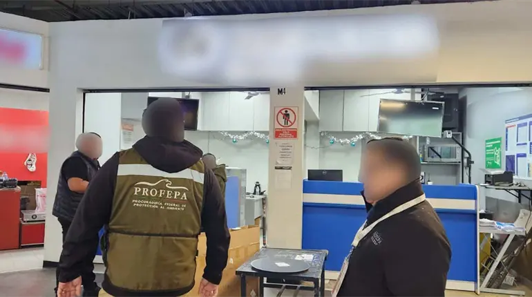 Profepa traslada a Tabasco m&aacute;s de 600 tortugas decomisadas en aeropuerto de Tijuana