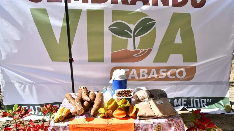 En marzo iniciar&aacute; construcci&oacute;n de fabrica de chocolate de Comalcalco: May