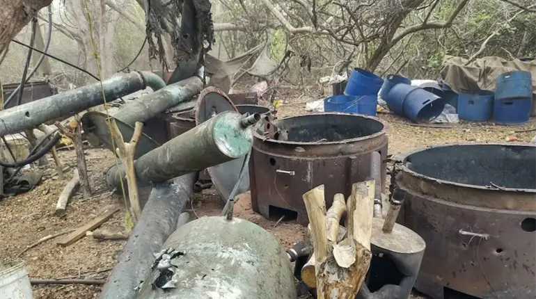 Desmantelan 17 narcolaboratorios en Sinaloa