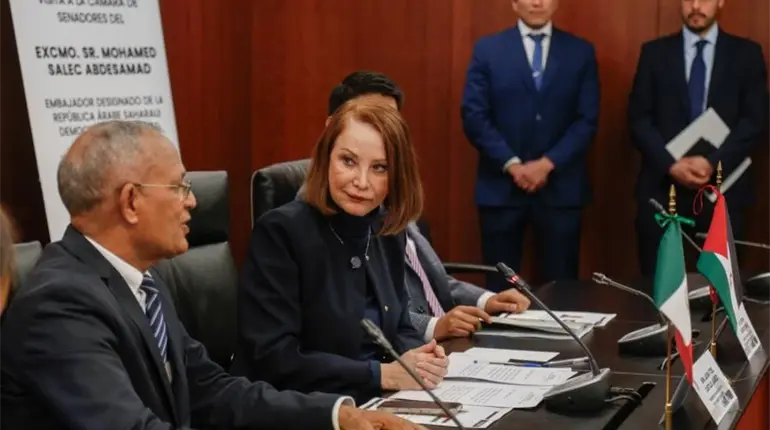 Sin consensos, no saldr&aacute; la reforma electoral: presidenta del Senado