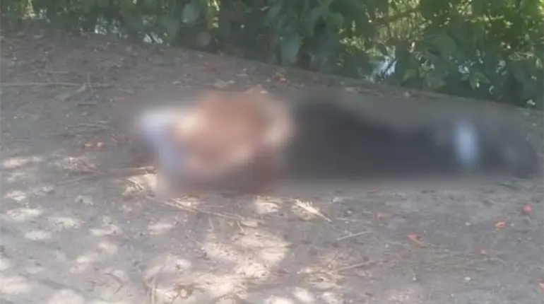 Localizan a persona ejecutada en Cunduac&aacute;n