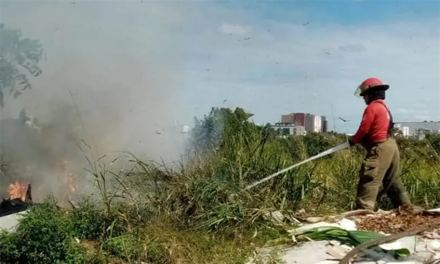 Se registra incendio de pastizal atrás del CENDI de Atasta