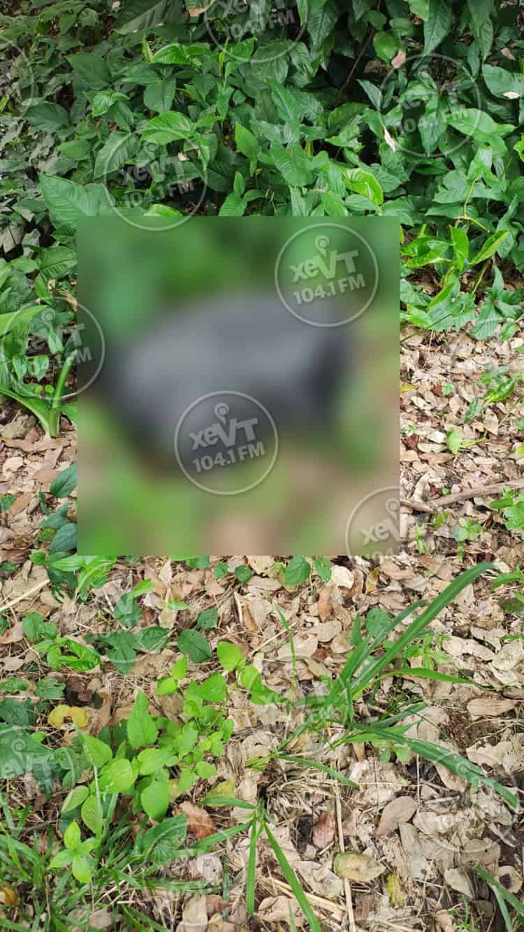 imagen-cuerpo imagen-cuerpo