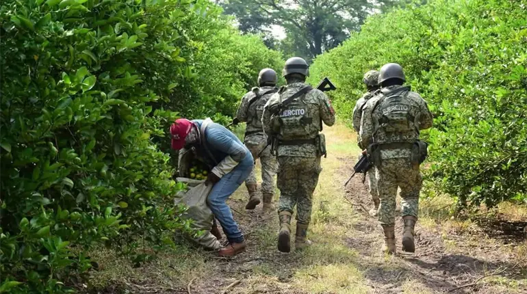 Captura de "El Botox" es un avance en la lucha contra la extorsi&oacute;n: productores