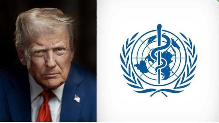 imagen-cuerpo imagen-cuerpo