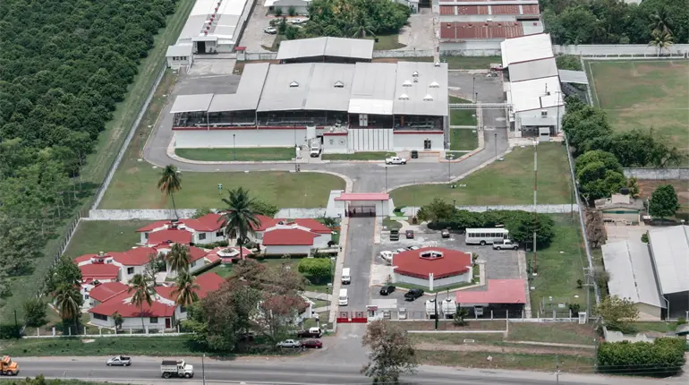 Avance del 50% lleva la planta productora de moscas est&eacute;riles para control del gusano barrenador: Agricultura