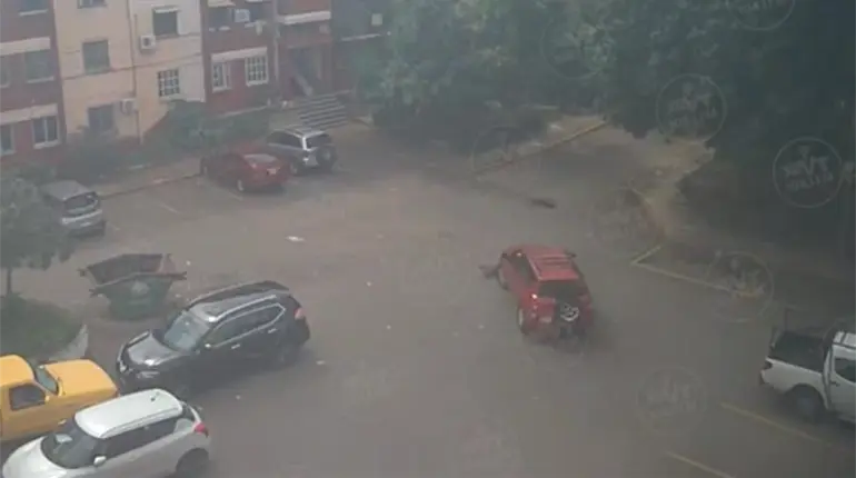 Atropella a perrita presuntamente de manera intencional en Villa las Fuentes, Centro