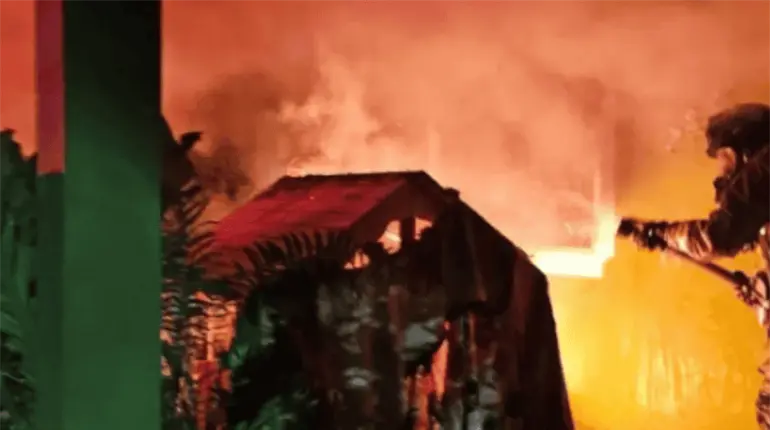 Reubica Protecci&oacute;n Civil de Macuspana panal de abejas en el poblado El Congo