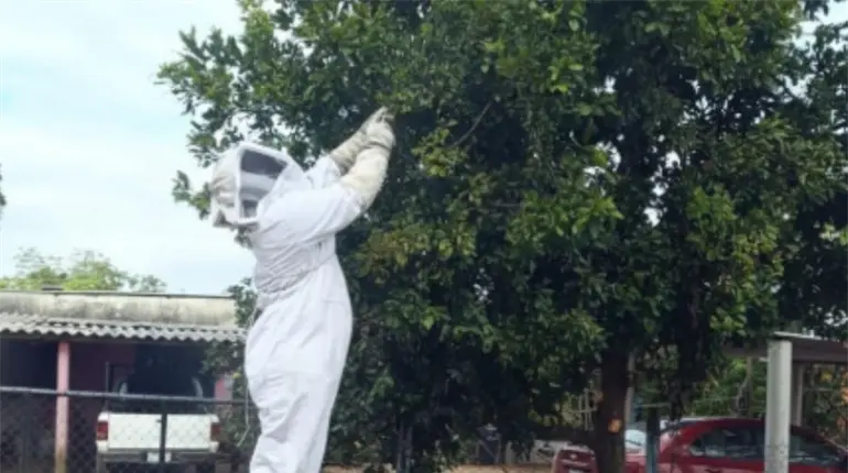 Reubica Protecci&oacute;n Civil de Macuspana panal de abejas en el poblado El Congo