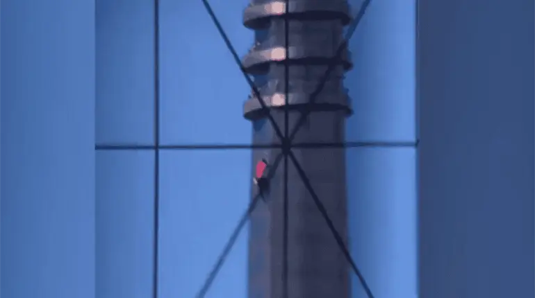 Estadounidense Alex Honnold escala sin protecci&oacute;n rascacielos de 101 pisos en Taip&eacute;i, Taiw&aacute;n