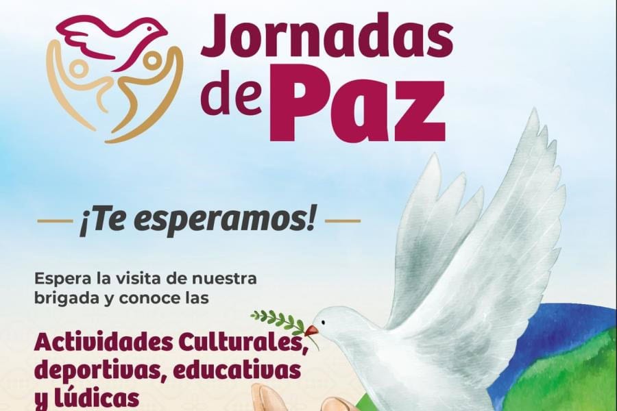 Titular de SEDATU recorre mercado de Gaviotas…pronto será inaugurado dice Osuna
