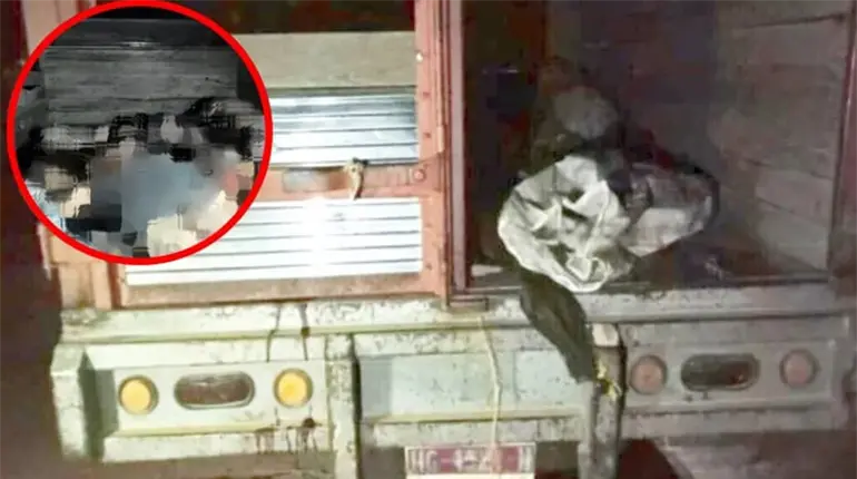 Localizan 6 cuerpos desmembrados en Guerrero tras ataque de &acute;Los Ardillos&acute;