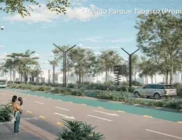 Realizará Semarnat inventario de árboles de río a río de Paseo Tabasco