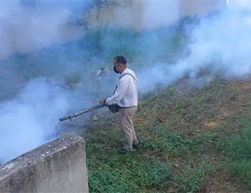 Tabasco se mantiene en tercer lugar nacional con 471 casos de dengue: Salud