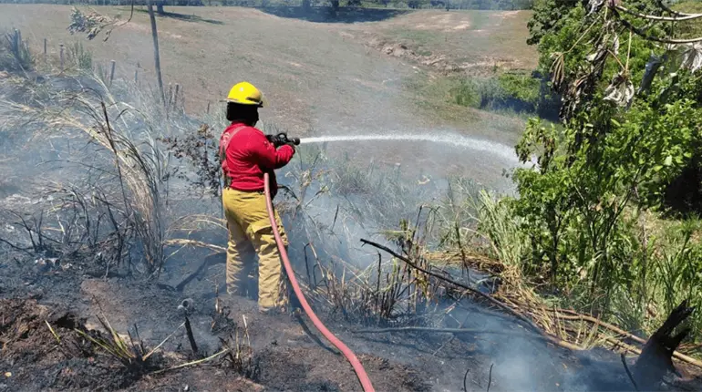 Atienden bomberos incendio de bodega en colonia Pino Su&aacute;rez y de pastizal en la Macuspana - Villahermosa