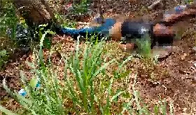Hallan a hombre sin vida a orillas de la carretera que comunica El Sardinero, Macuspana