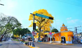 Observatorio Urbano reporta 71 solicitudes para declarar Paseo Tabasco como Patrimonio Cultural del Estado